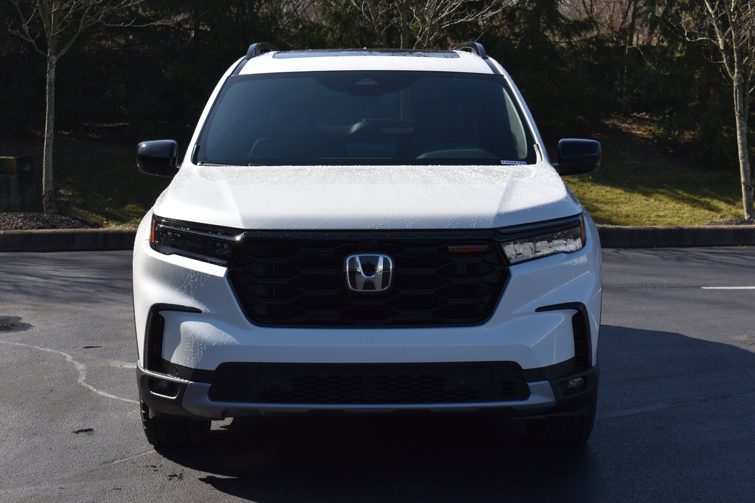 2025 Honda Pilot TrailSport photo 2