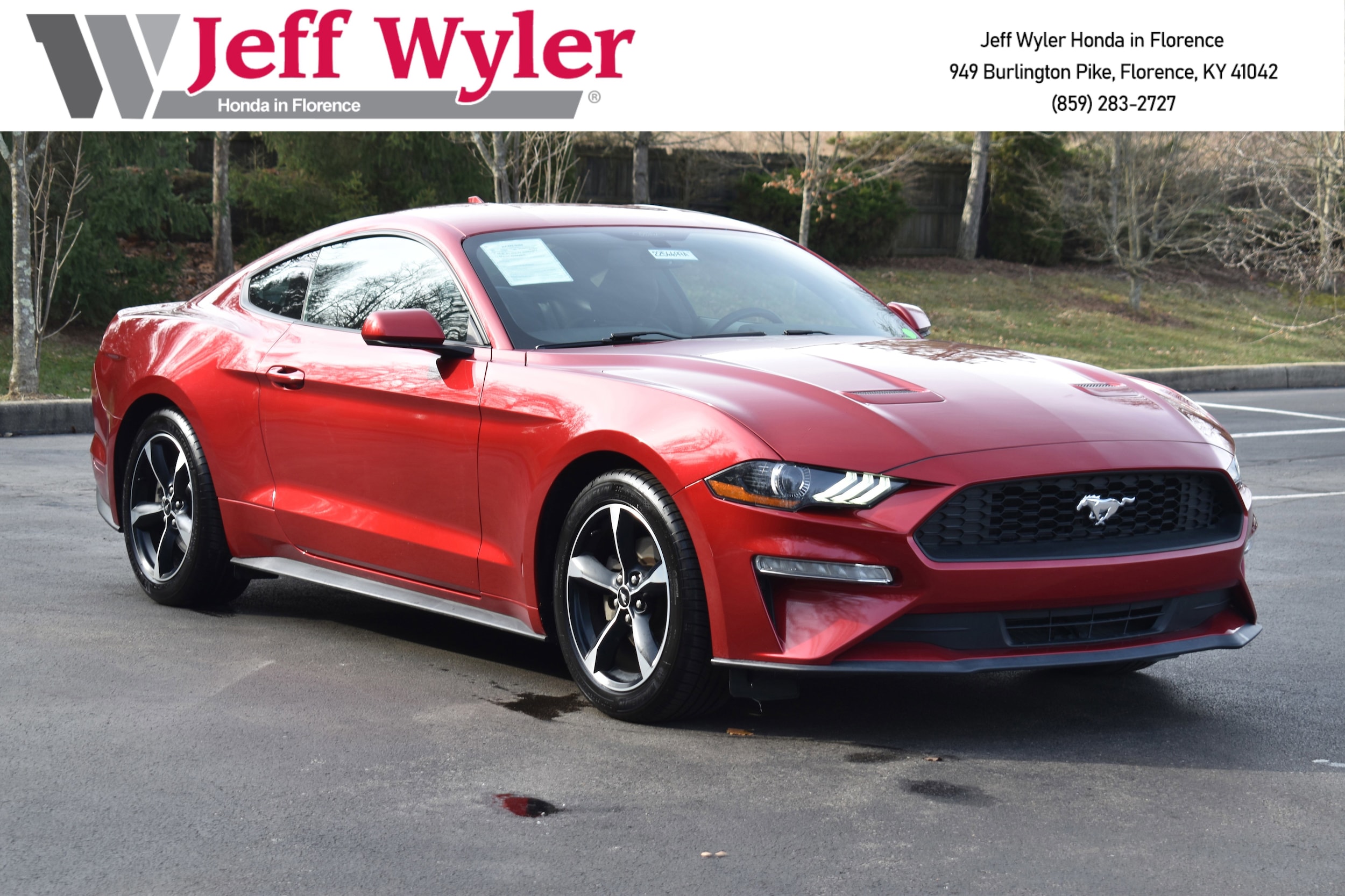2020 Ford Mustang EcoBoost's photo