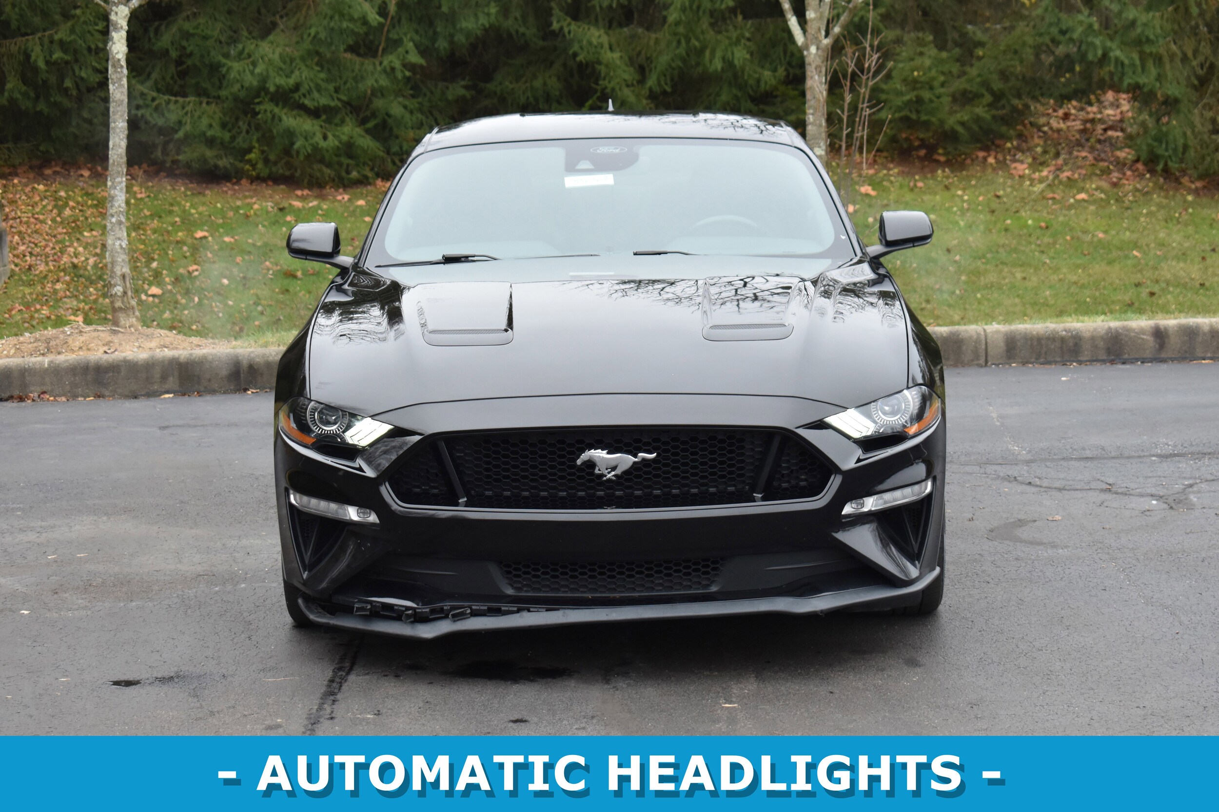 2022 Ford Mustang GT photo 2