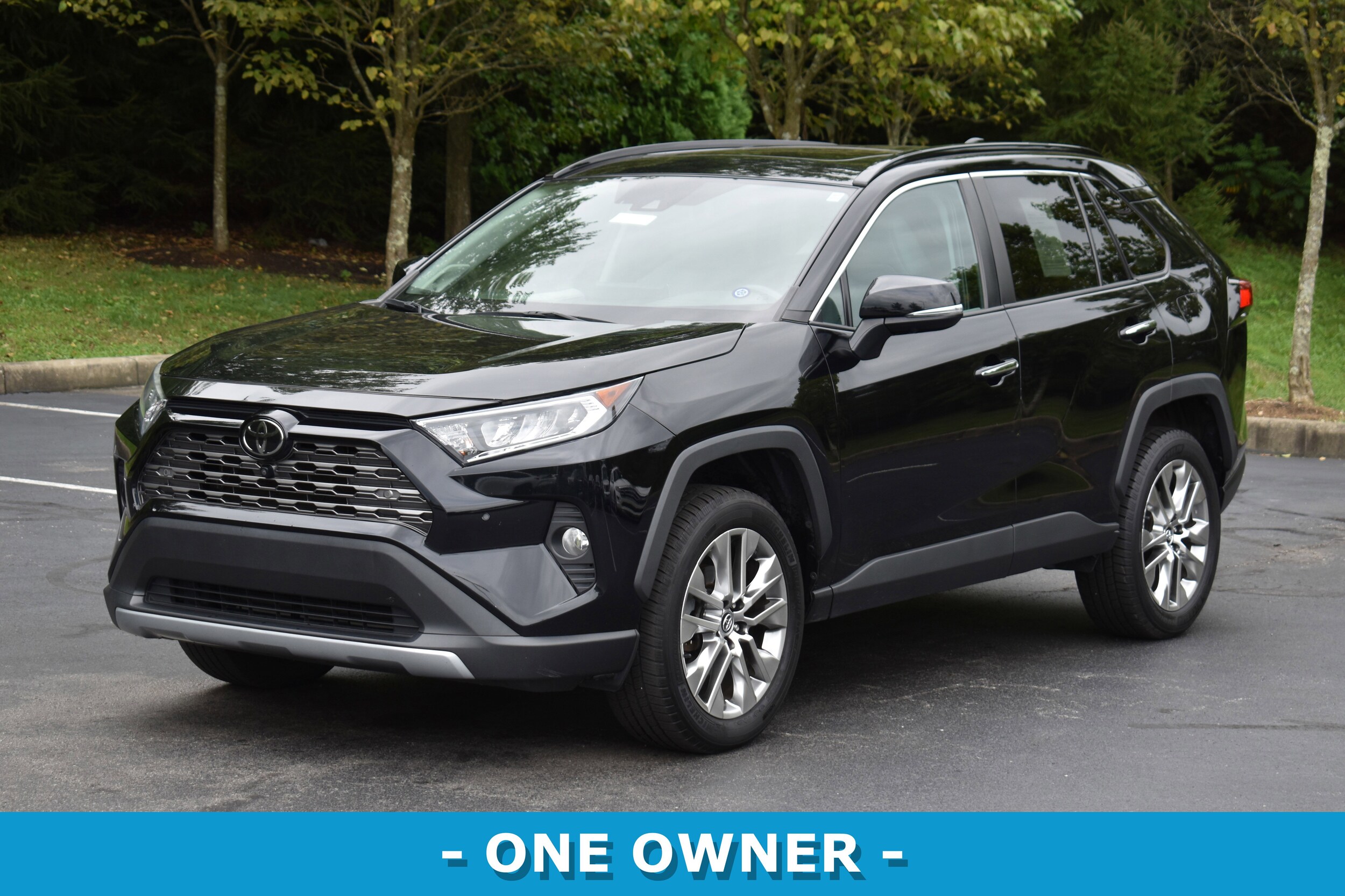 2019 Toyota RAV4 Limited photo 3
