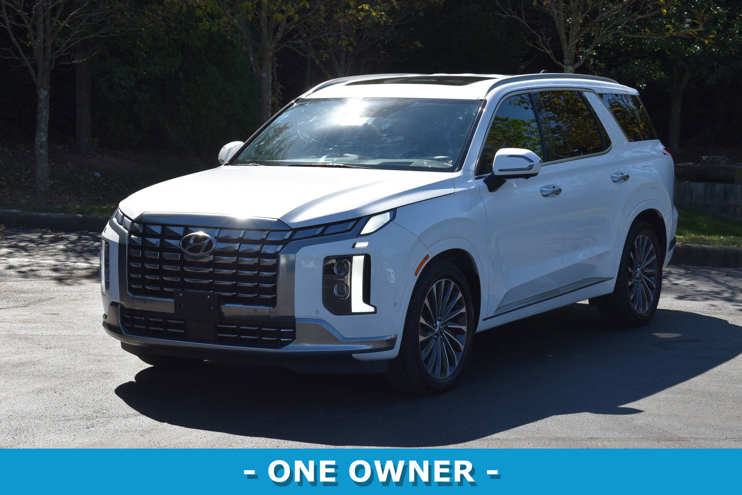 2024 Hyundai Palisade Calligraphy photo 3