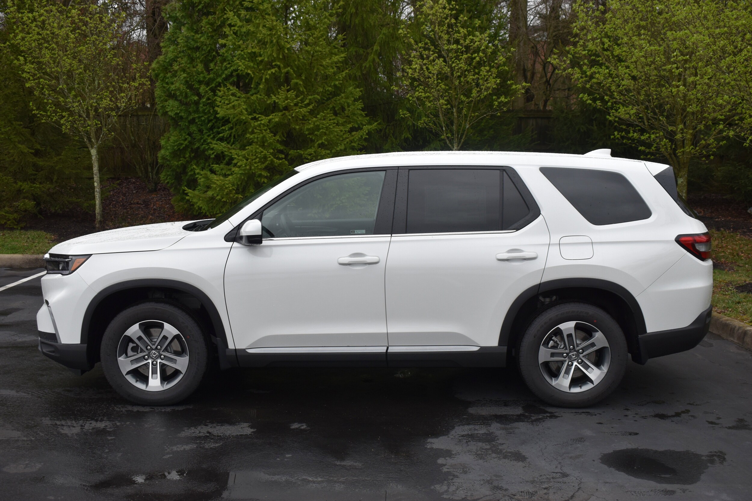 2025 Honda Pilot EX-L photo 3