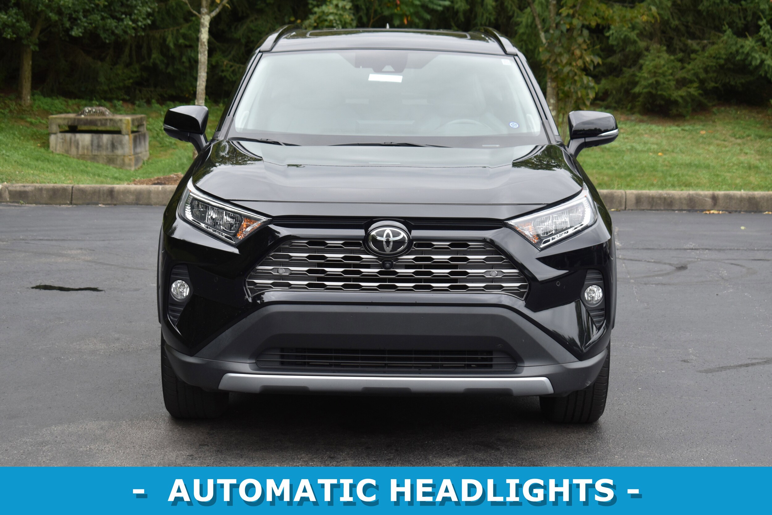 2019 Toyota RAV4 Limited photo 2