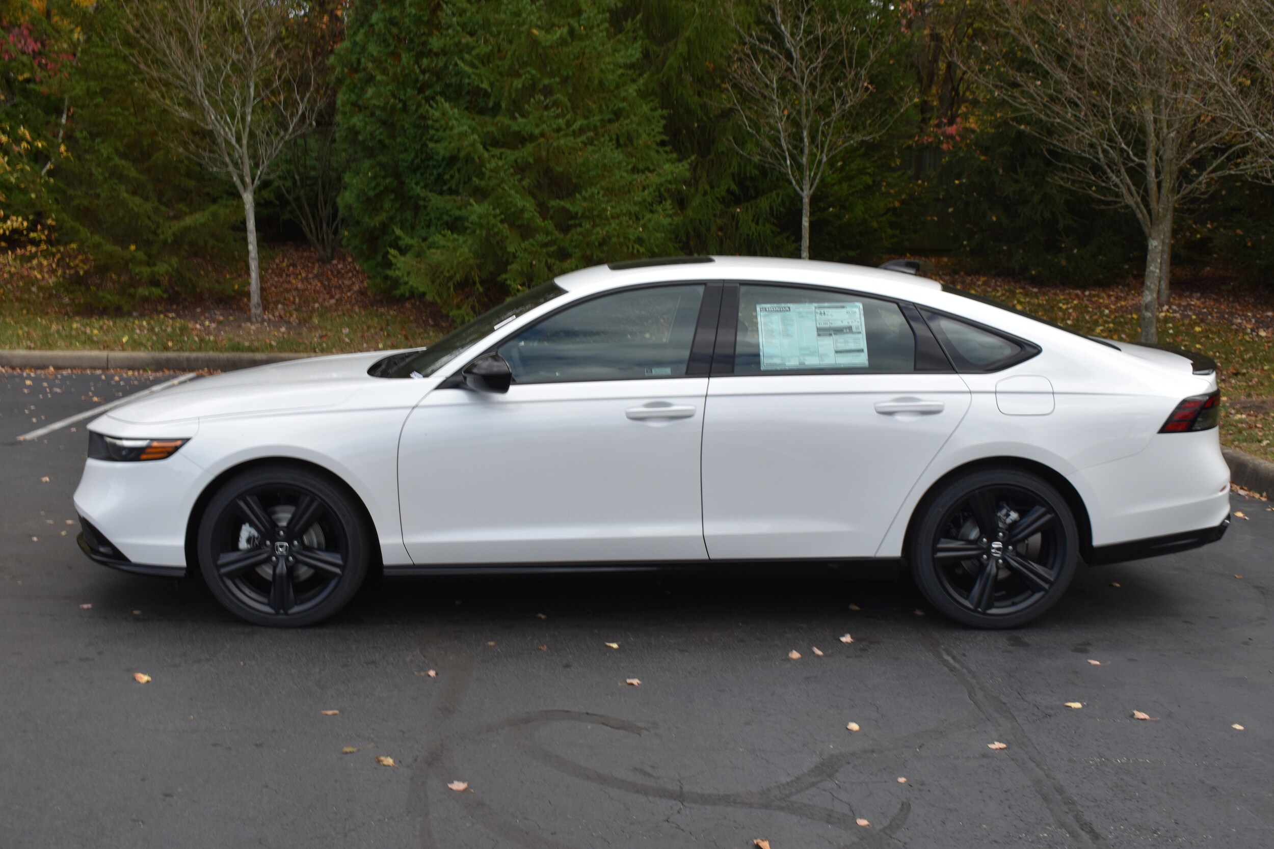 2025 Honda Accord Hybrid Sport-L photo 4