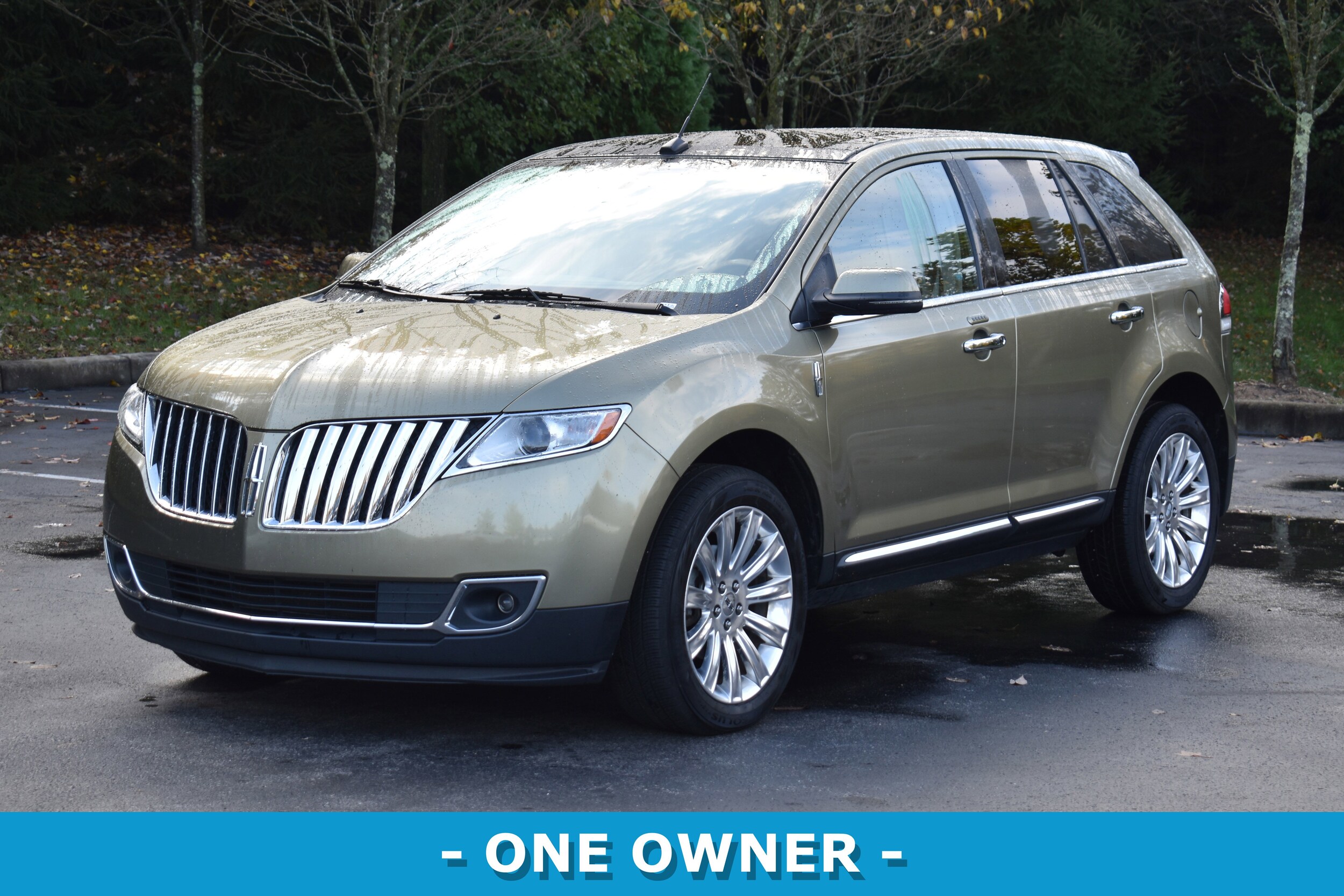 2013 Lincoln MKX Base photo 2