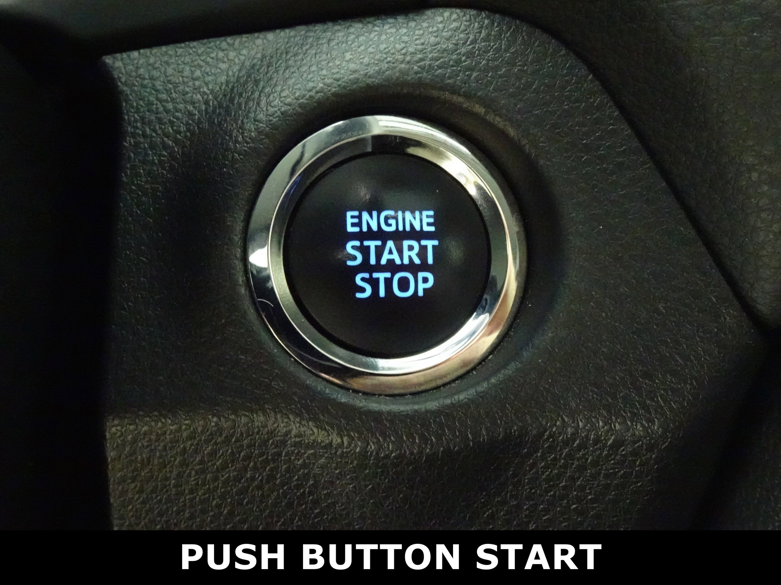 2019 Toyota RAV4 XLE photo 3