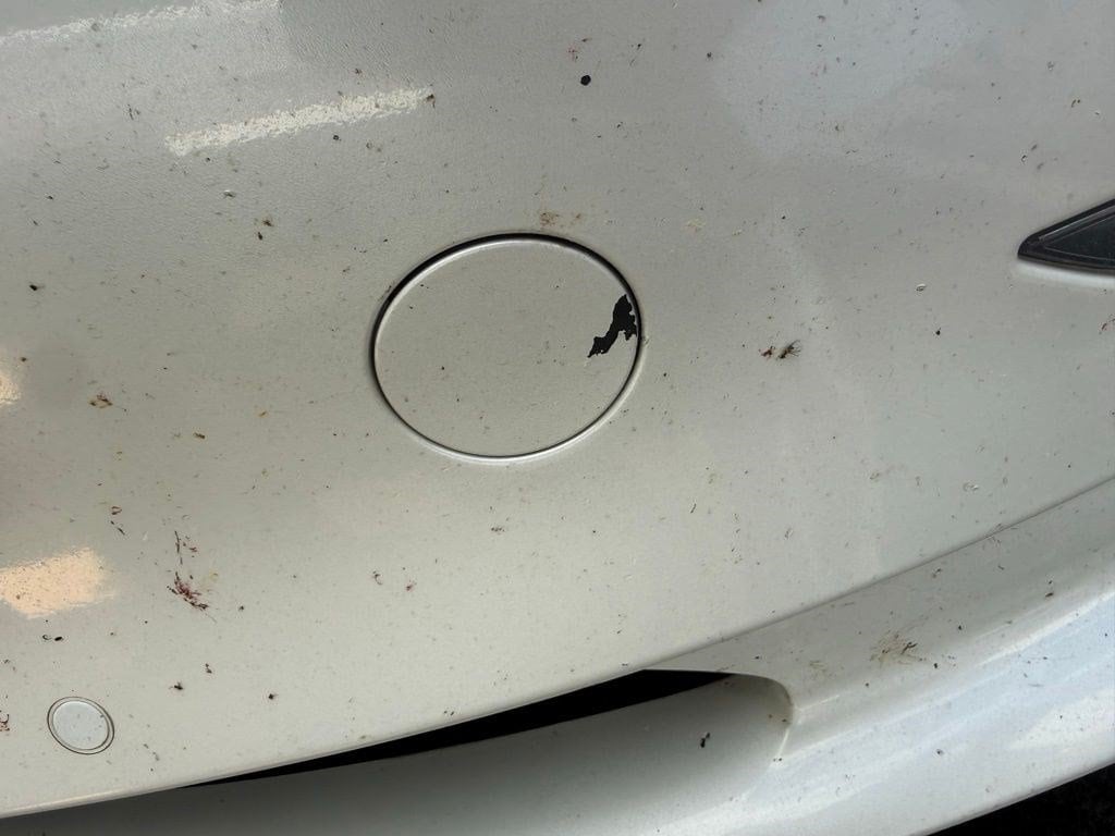 Used 2020 Tesla Model 3 Performance AWD Sedan