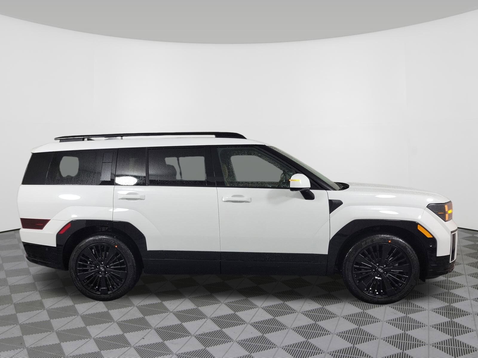 2026 Hyundai Santa Fe Calligraphy photo 2