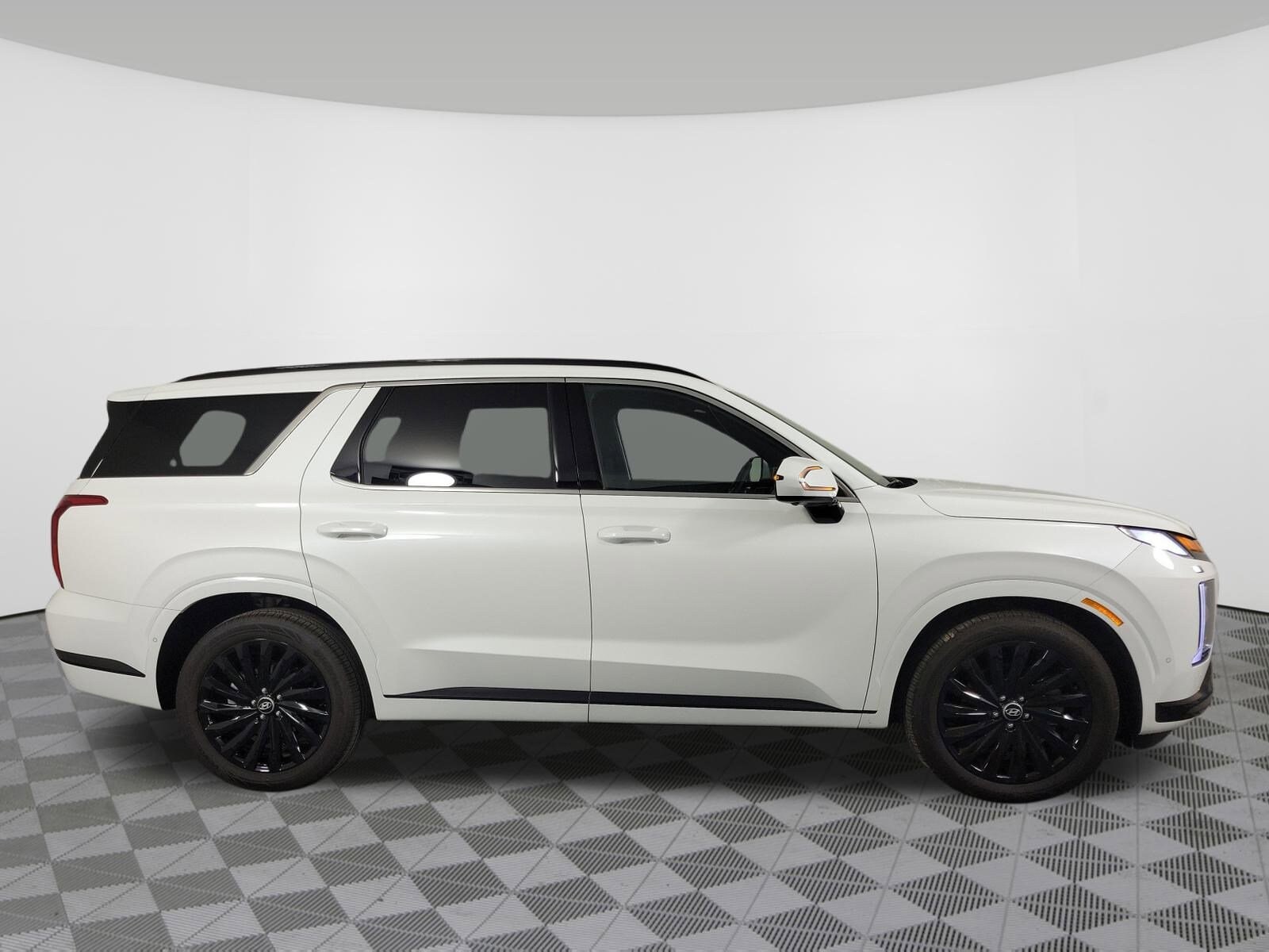 2025 Hyundai Palisade Calligraphy photo 2