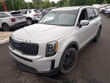  Kia Telluride