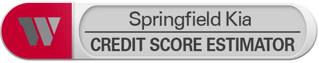 Credit Score Estimator Tool