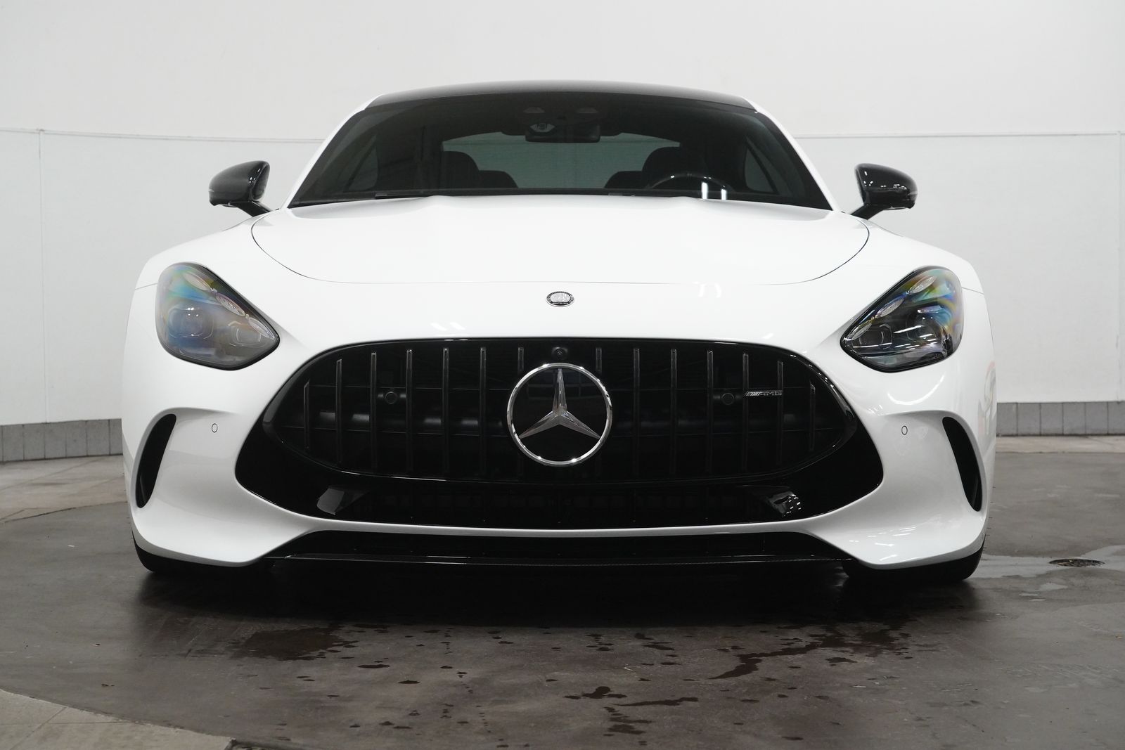 2025 Mercedes Benz AMG GT photo 3