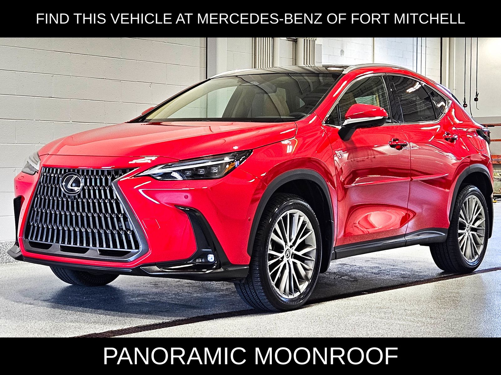 2024 LEXUS NX