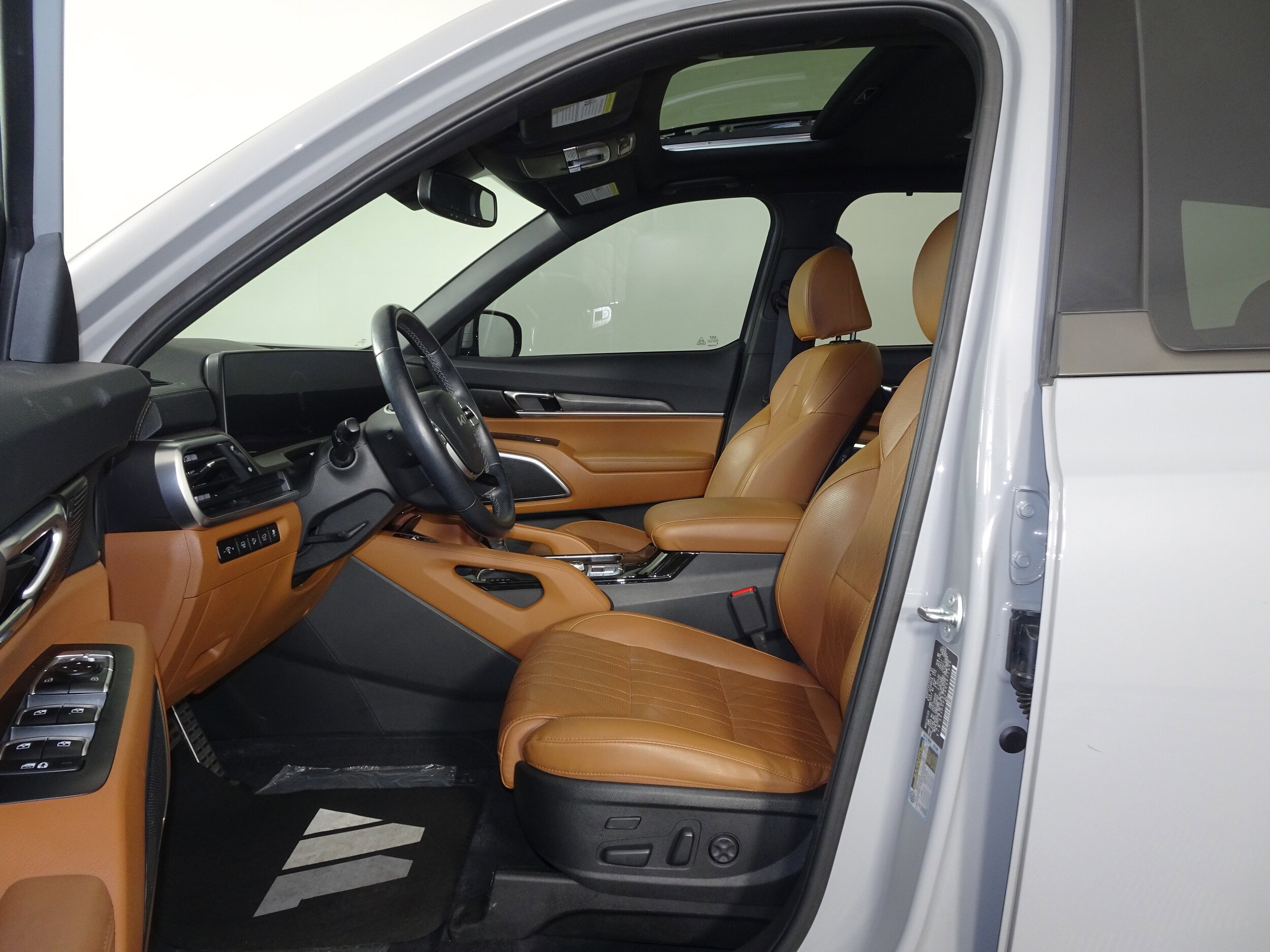 2024 Kia Telluride SX X-Line photo 4