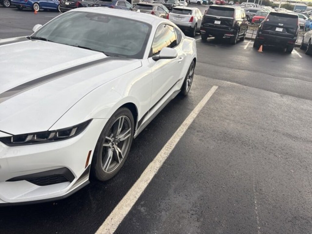 Used 2024 Ford Mustang