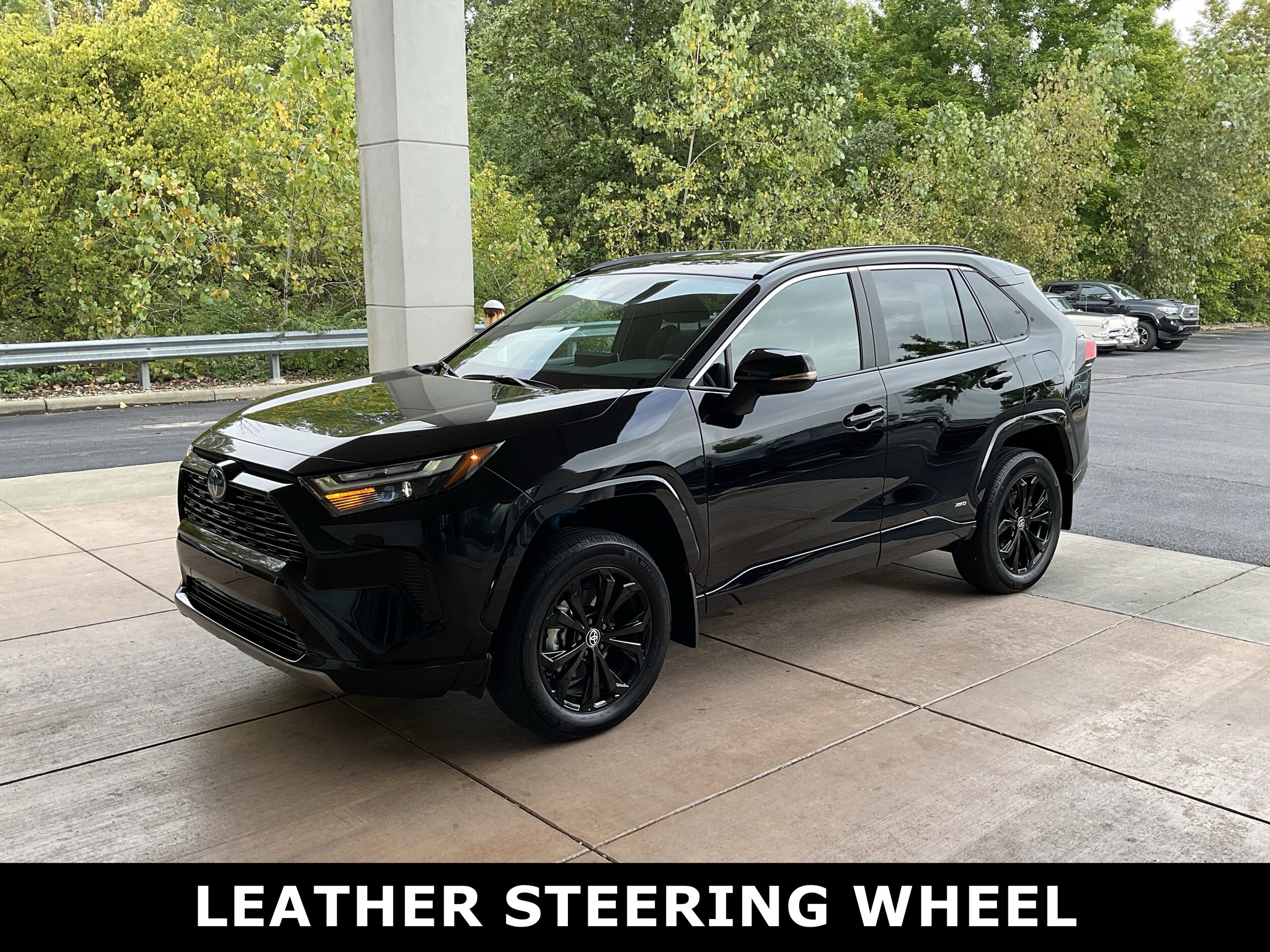 2024 Toyota RAV4 Hybrid SE photo 2