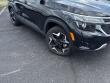 Used 2024 Kia Seltos EX IVT AWD Sport Utility