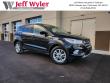 Used 2019 Ford Escape SE SUV