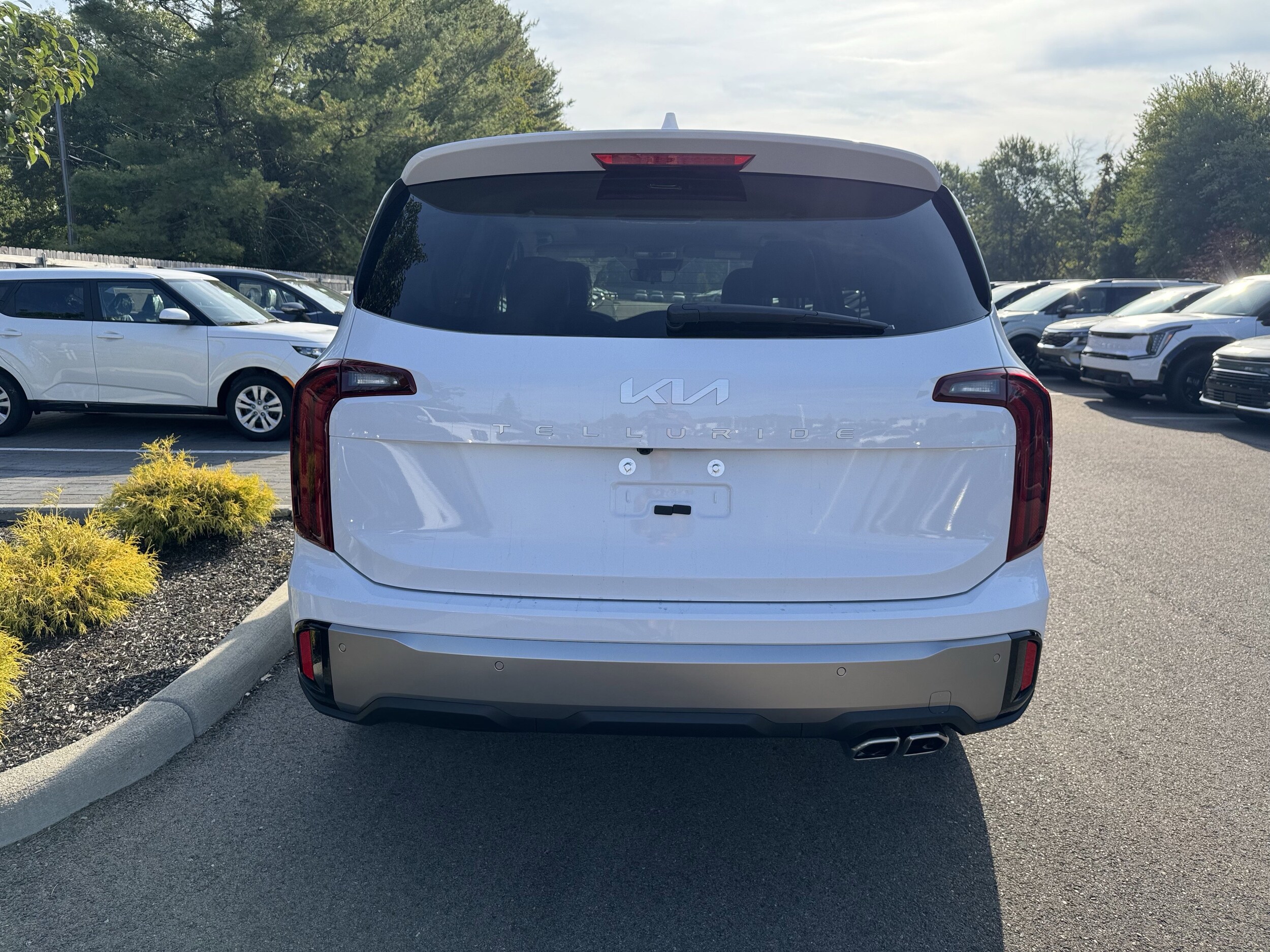 2025 Kia Telluride S photo 3