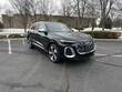  Audi All-new SQ5