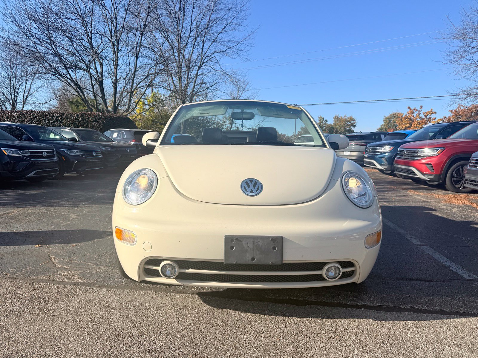  Volkswagen Beetle