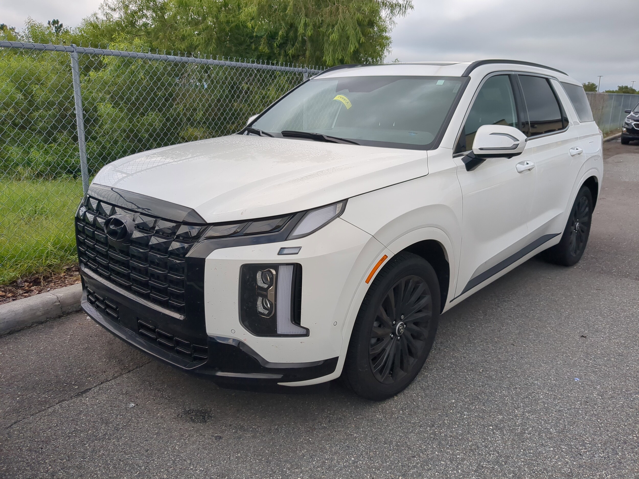 2025 Hyundai Palisade Calligraphy photo 3