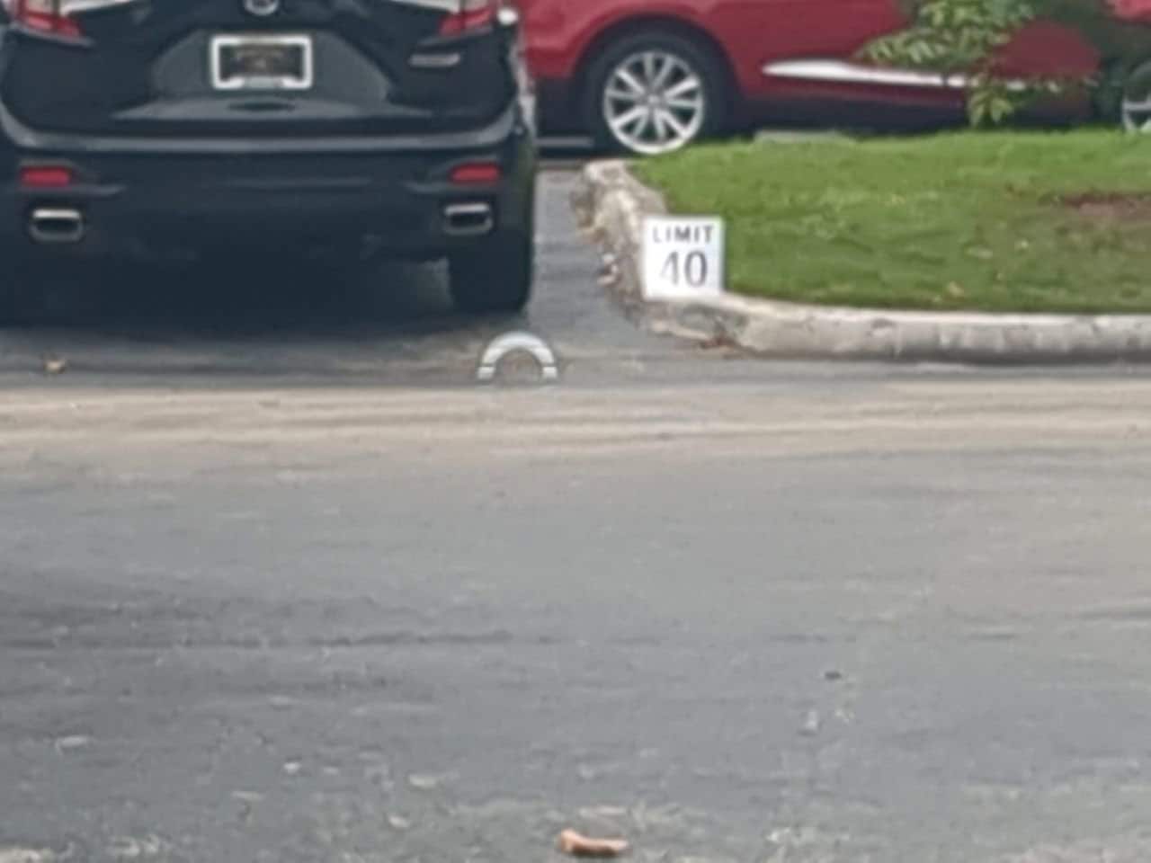 2026 Acura Integra A-Spec w/Technology Package - Photo 8