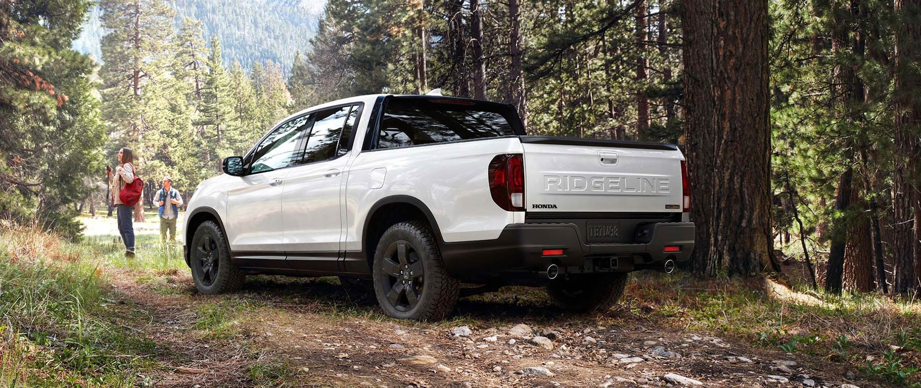 Trucks for Sale Near Orlando, FL A rear view of a white Honda Ridgeline parked on a dirt trail in a forest
