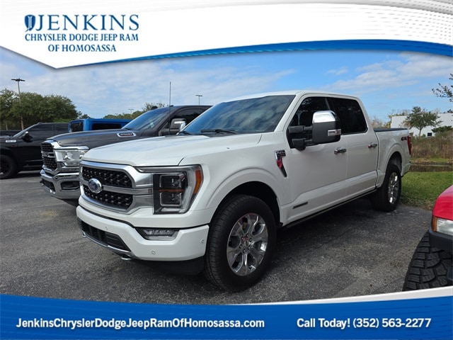 2023 Ford F-150 Platinum's photo