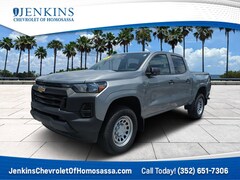 2025 Chevrolet Colorado 2WD Work Truck 2WD Crew Cab WT