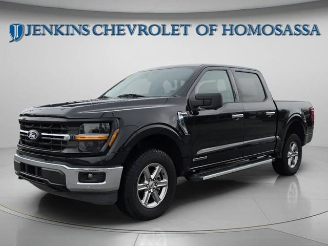2024 Ford F-150 XLT - Photo 10