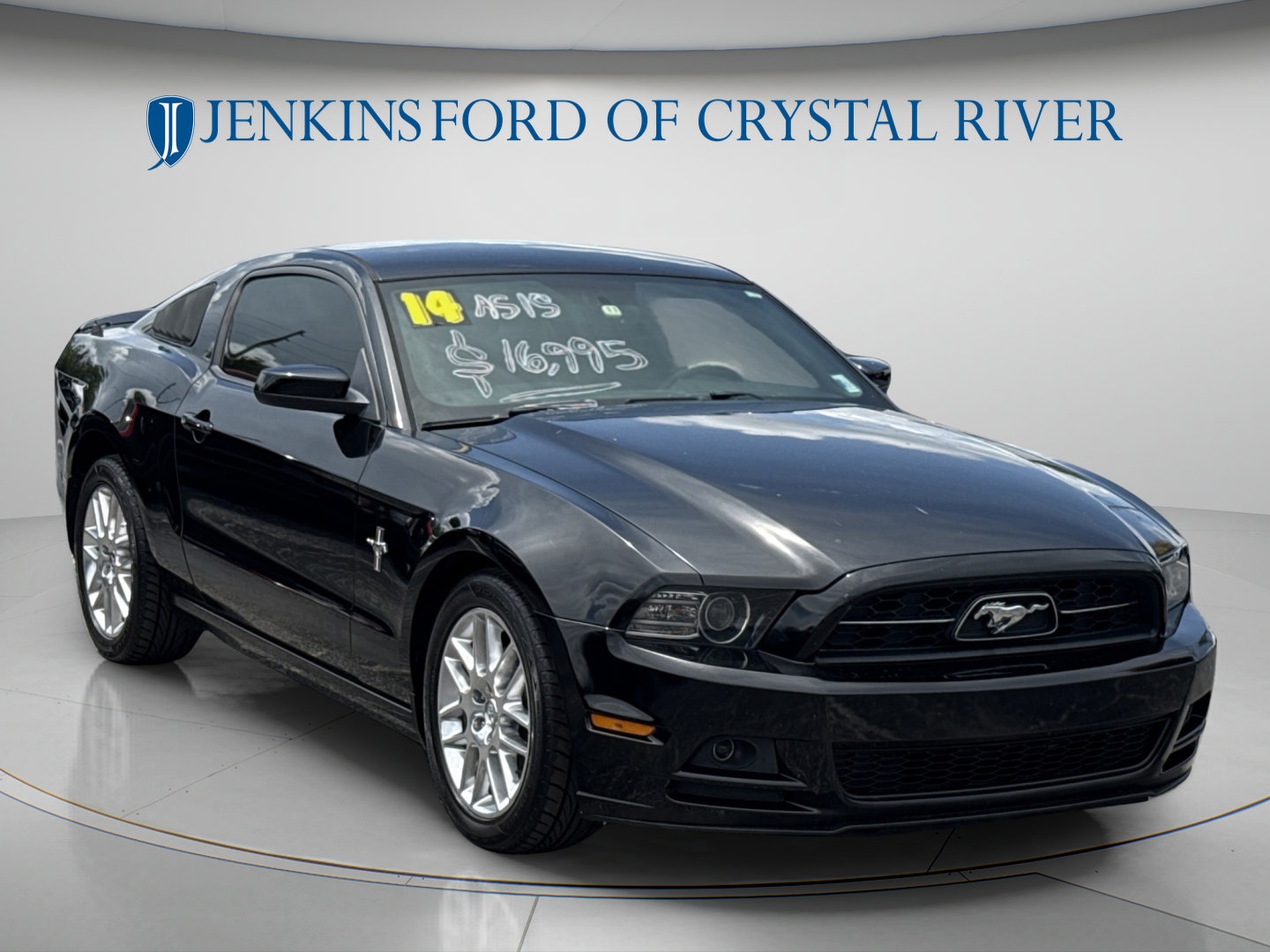 Photo 15