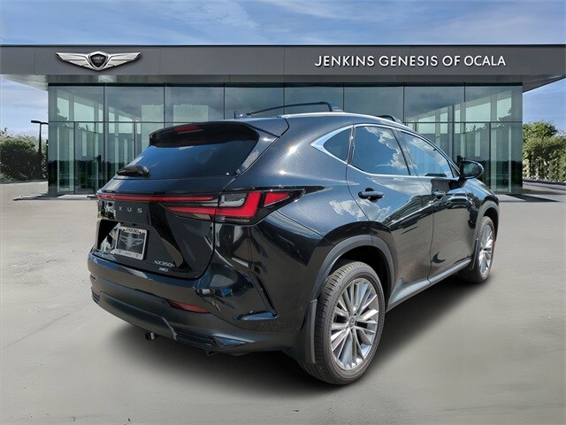 2023 Lexus NX 350h Luxury photo 3