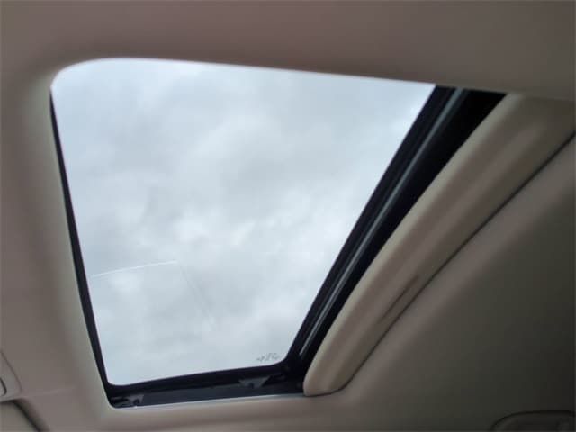 View 19