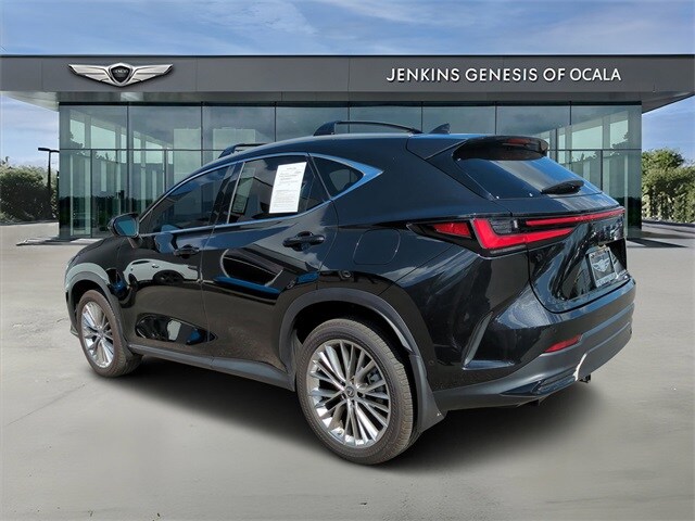 2023 Lexus NX 350h Luxury photo 4
