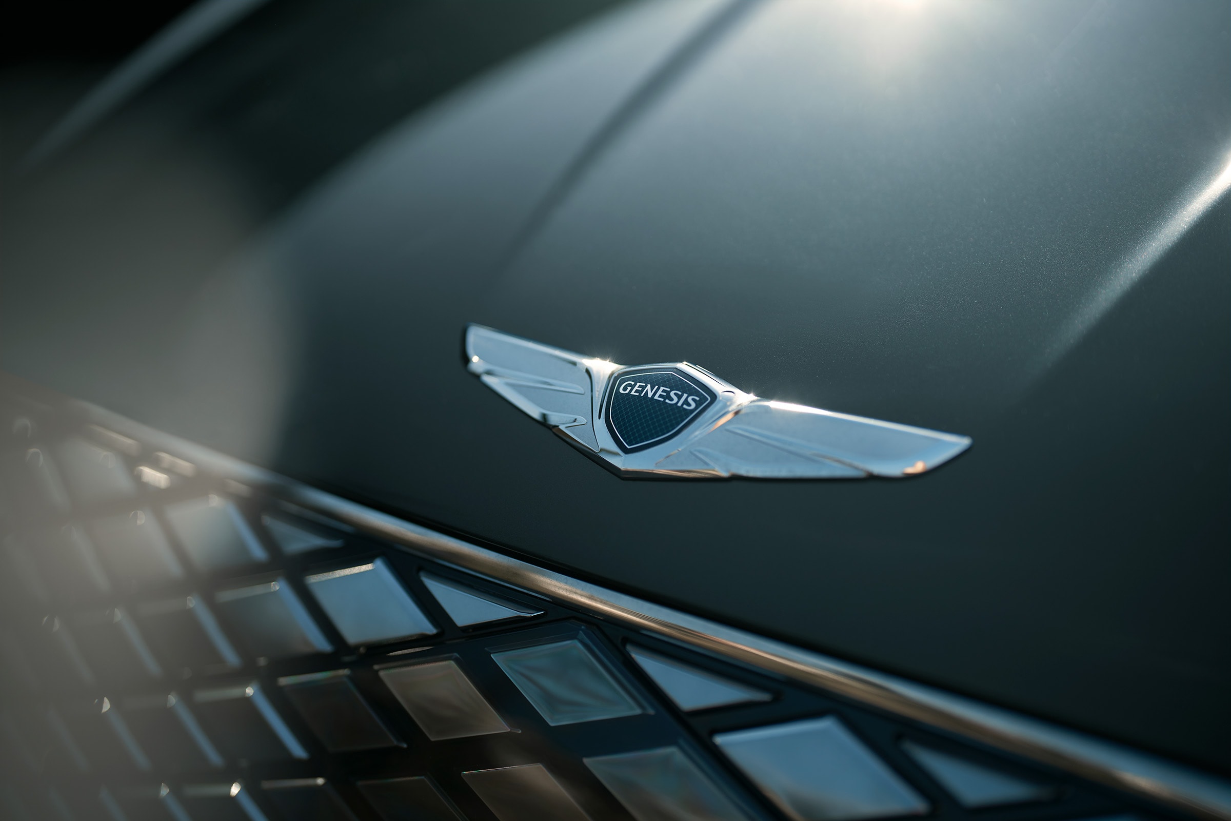 genesis hood and emblem close-up