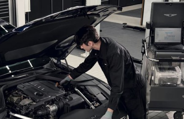 genesis-maintenance.png