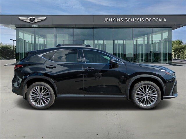 2023 Lexus NX 350h Luxury photo 2