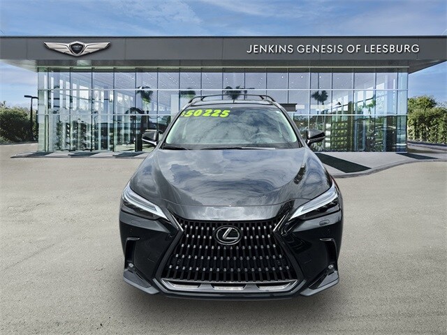 2023 Lexus NX 350h Luxury photo 2