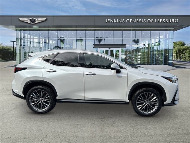 2022 Lexus NX 350h Luxury photo 2