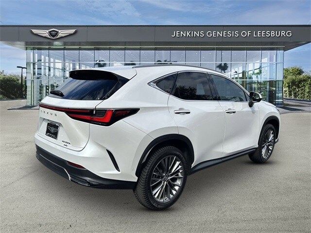 2022 Lexus NX 350h Luxury photo 3