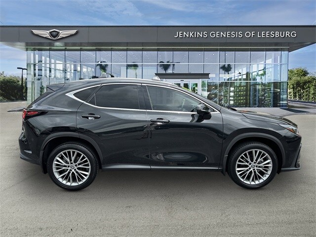 2023 Lexus NX 350h Luxury photo 2