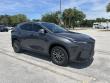 Used 2025 Lexus NX 350 Luxury SUV