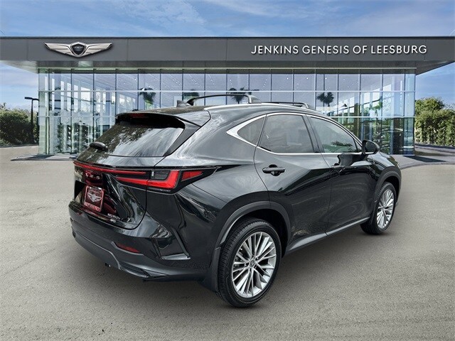 2023 Lexus NX 350h Luxury photo 3