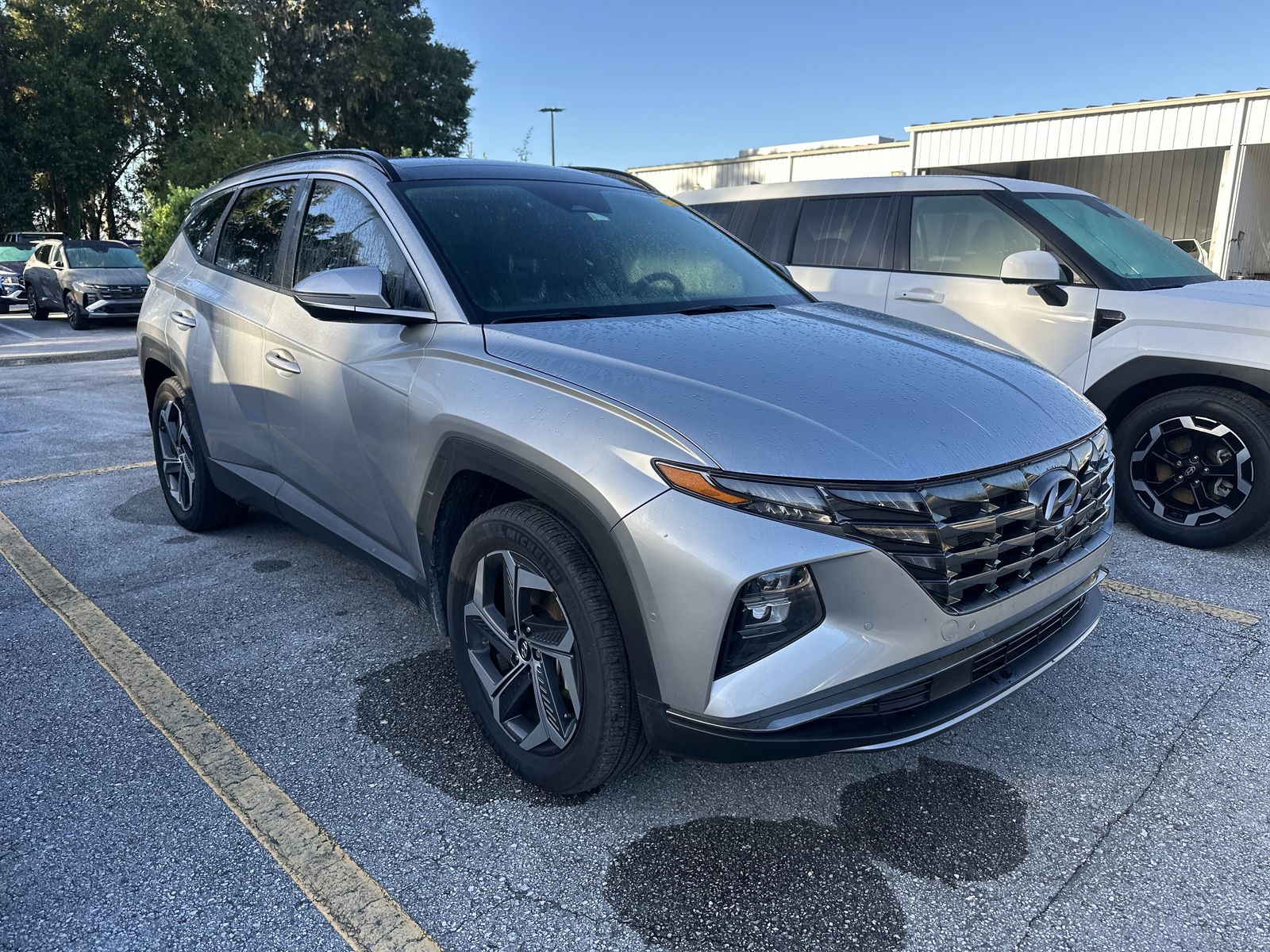 2024 Hyundai Tucson Hybrid Limited photo 3