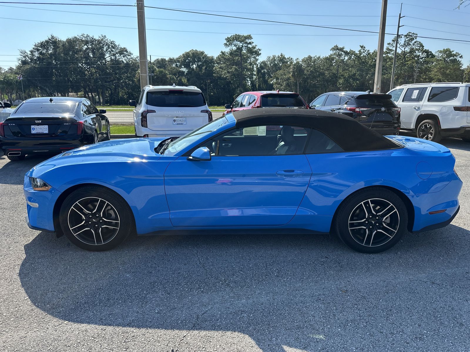 2023 Ford Mustang EcoBoost Premium Convertible photo 3