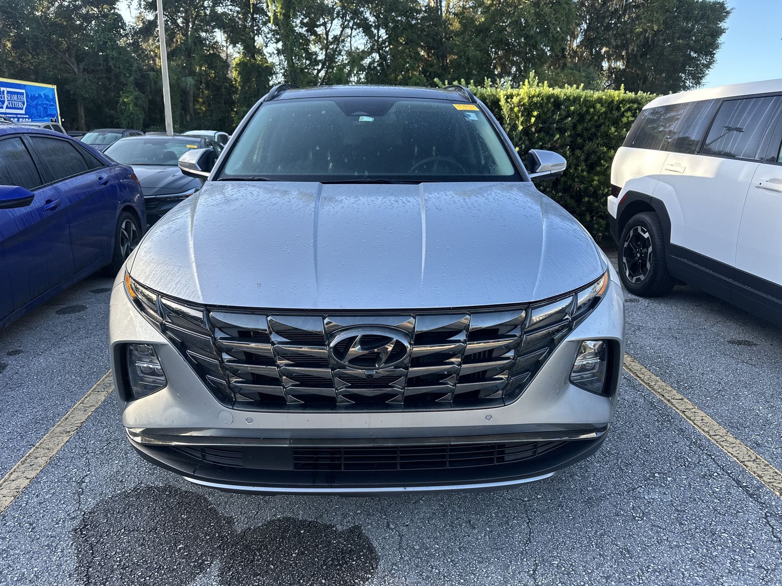 2024 Hyundai Tucson Hybrid Limited photo 2