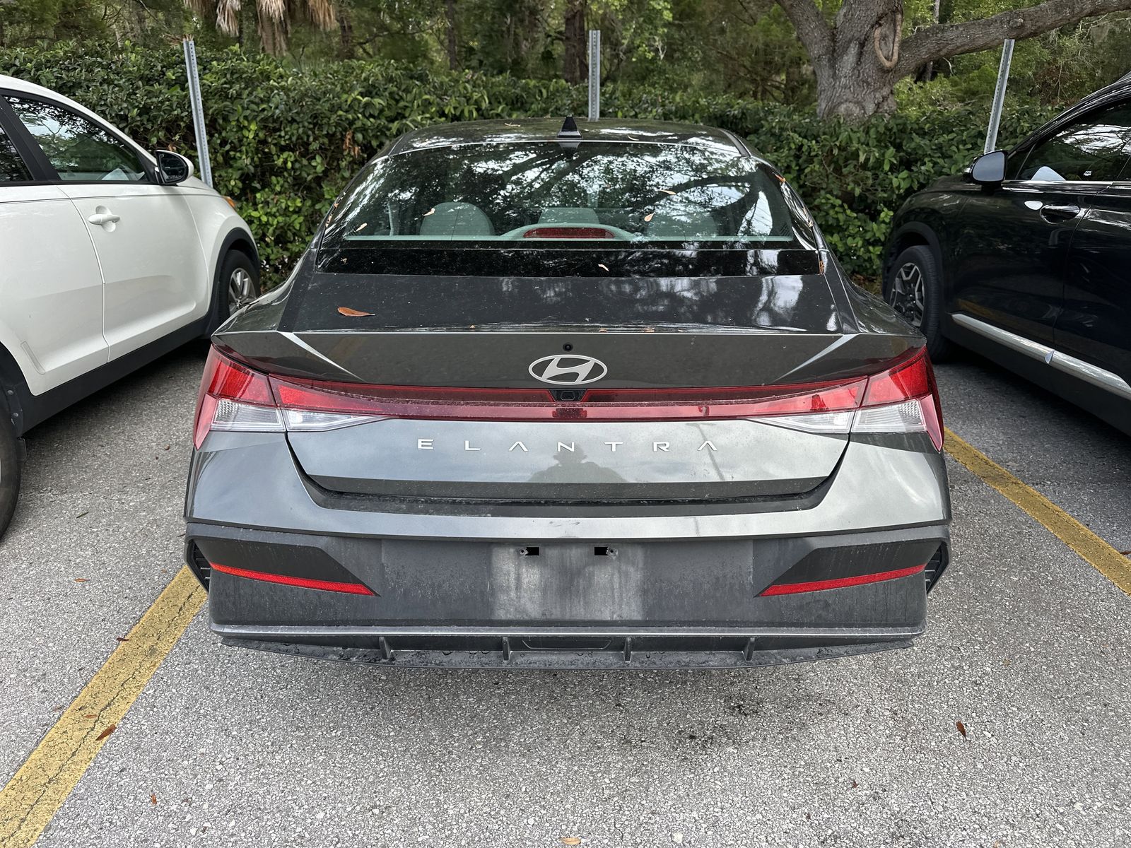 2024 Hyundai Elantra SEL photo 4