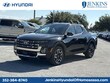  Hyundai Santa Cruz
