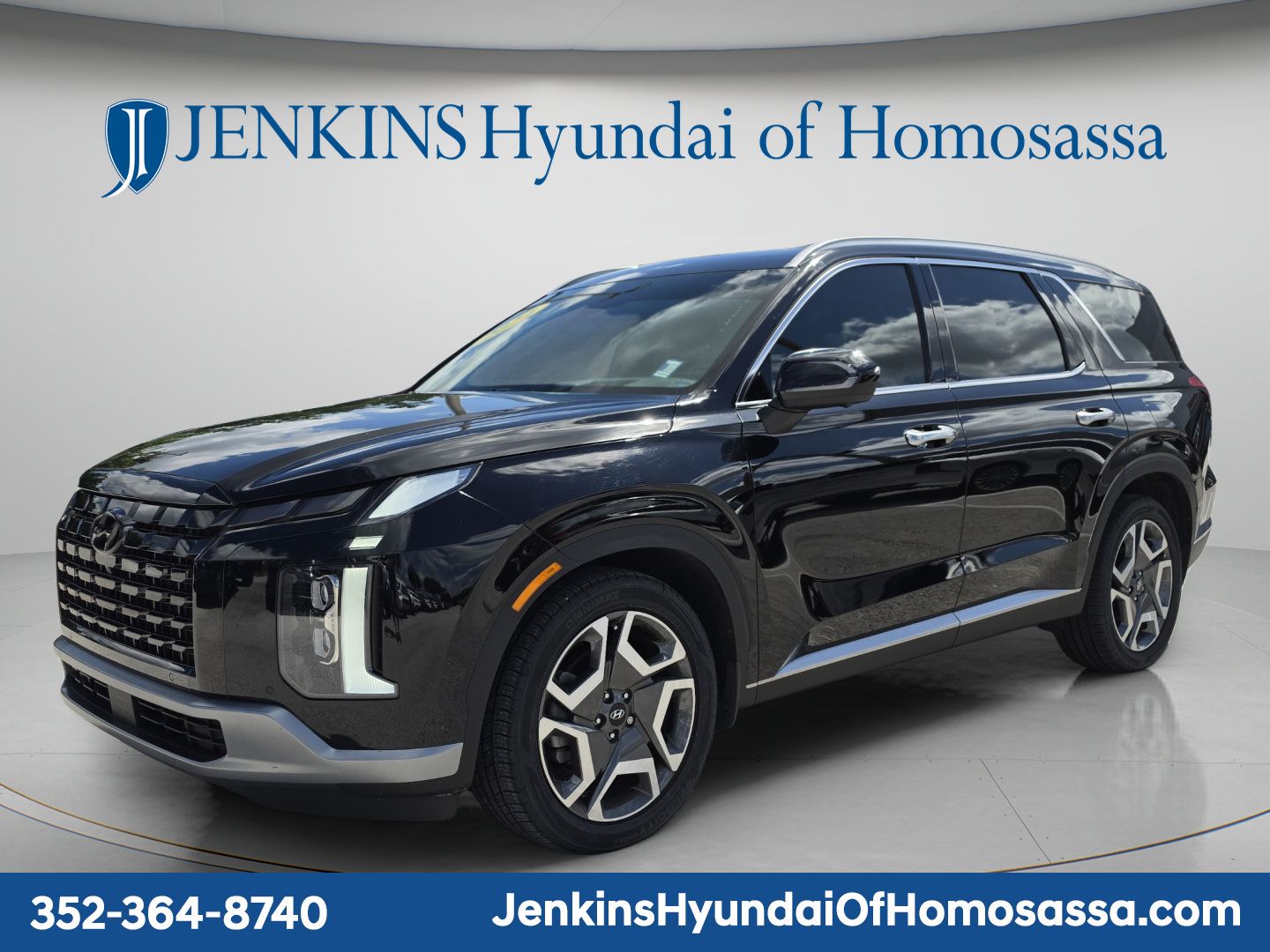 2024 Hyundai Palisade Limited - Photo 9